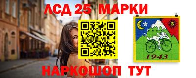 дмт Кандалакша