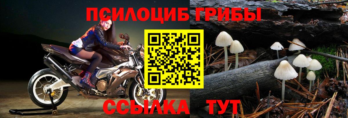 Галлюциногенные грибы мухоморы  Галлюциногенные грибы Magic Shrooms  Азов  Вход с VPN 
