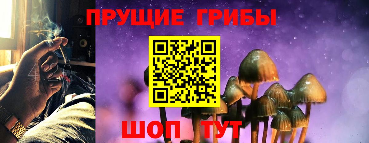 Галлюциногенные грибы GOLDEN TEACHER Азов